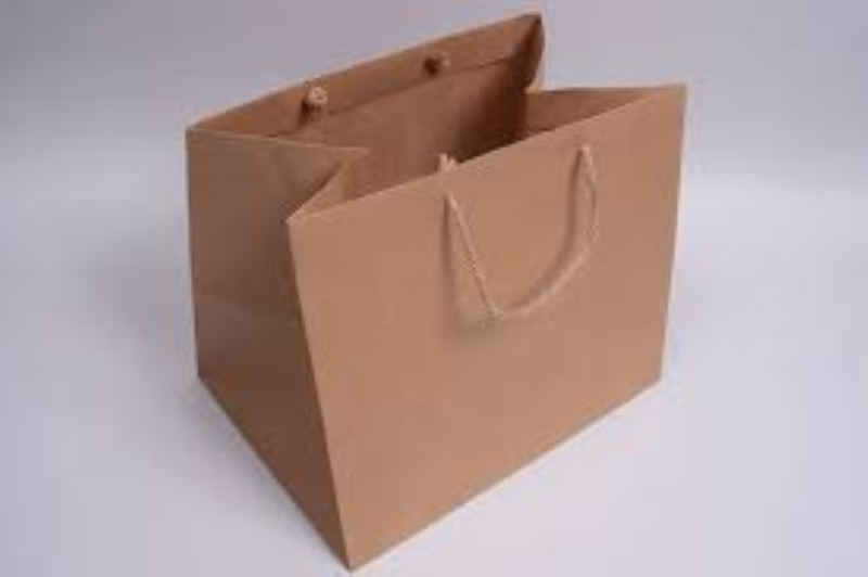 cetak paper bag